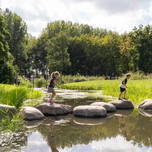Speelplek Gouwe Bos 6